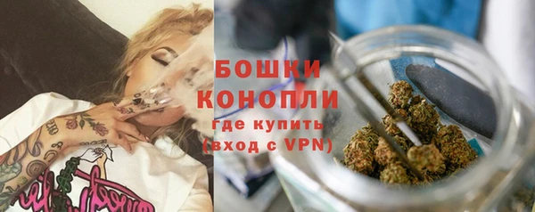 твердый Бородино