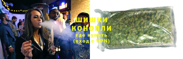 бошки Бронницы
