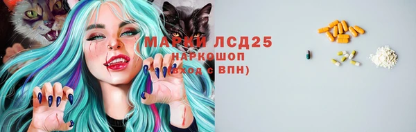 эйфоретик Покров