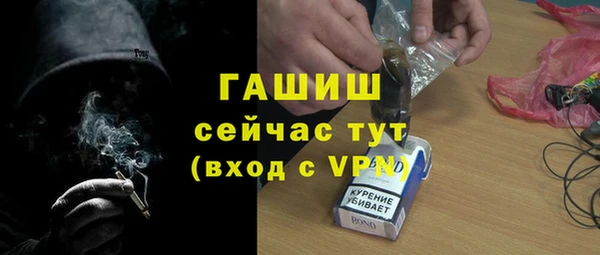 твердый Бородино