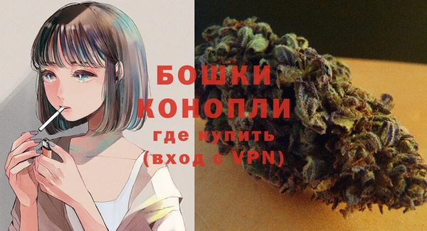 бошки Бронницы