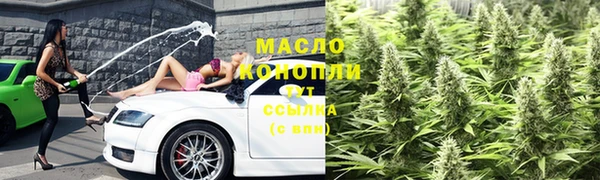 твердый Бородино