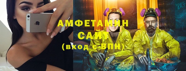 твердый Бородино